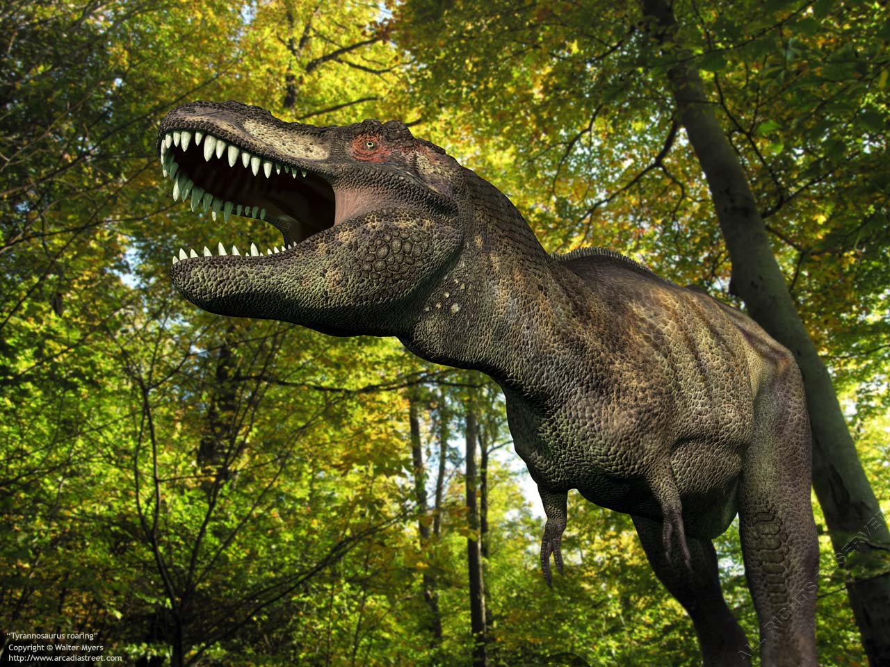 Spinossauro ou T REX quem é o mais forte dinossauros #1 YouTube