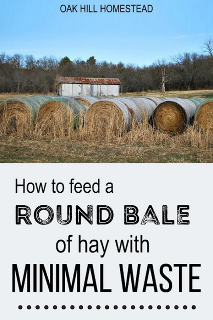 How to feed a round bale of hay