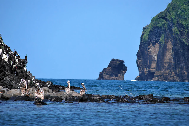 Quần đảo Revillagigedo, Mexico 