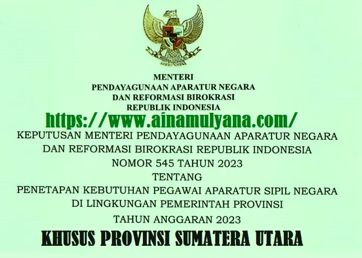 Penetapan Rincian Kebutuhan atau Formasi ASN PPPK Provinsi Sumatera Utara SUMUT Tahun 2023 pdf