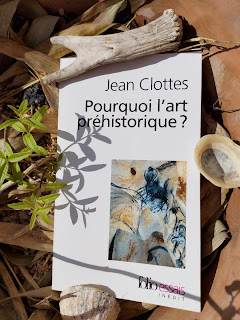 Pourquoi l'art préhistorique ? - Jean Clottes