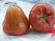 But wax apples are one of my favourite fuits here. They are yummy!