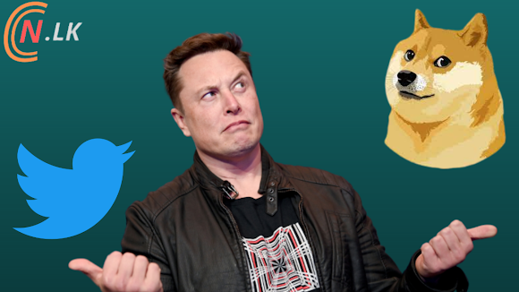 Elon Musk changes Twitter icon to Doge