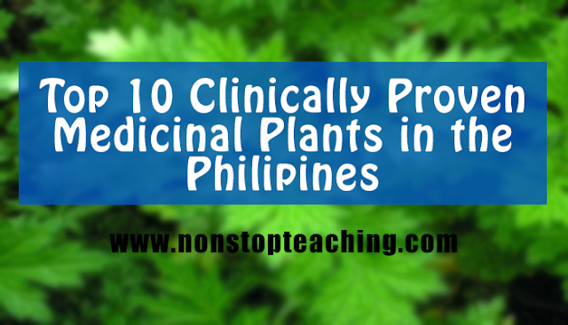 Top 10 Clinically Proven Medicinal Plants in the Philippines