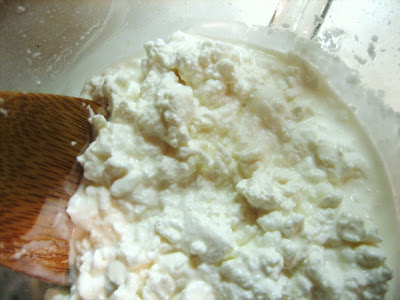 milk proteins (casein)