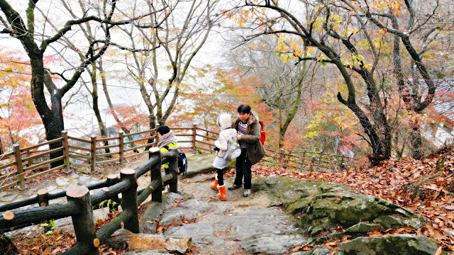 [Buyeo] - Goransa Temple (고란사) and Baengmagang River Tour (백마강 유람선)