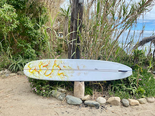Paul Carter Surfboards & art