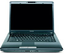 Toshiba Satellite A300/A305 System with a Face
