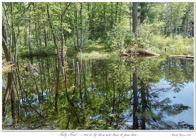 Tully Trail: ... not so by those who have to pass here...