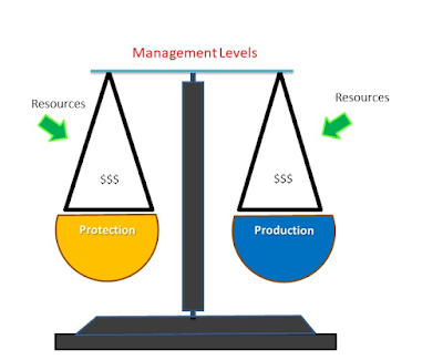safety management