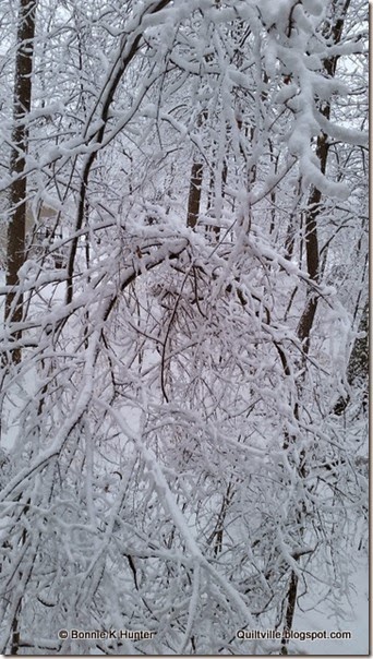 20150226_071357