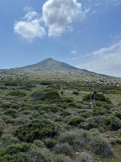 Επιφανειακή έρευνα στις παρυφές του Ελλανίου Όρους με την κορυφή στο βάθος