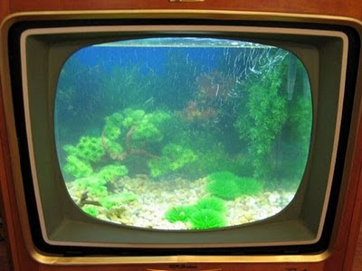 fish tank made out of old tv