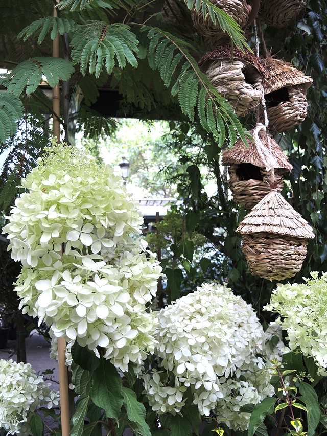 Parijs: Marché aux Fleurs Reine Elizabeth-II