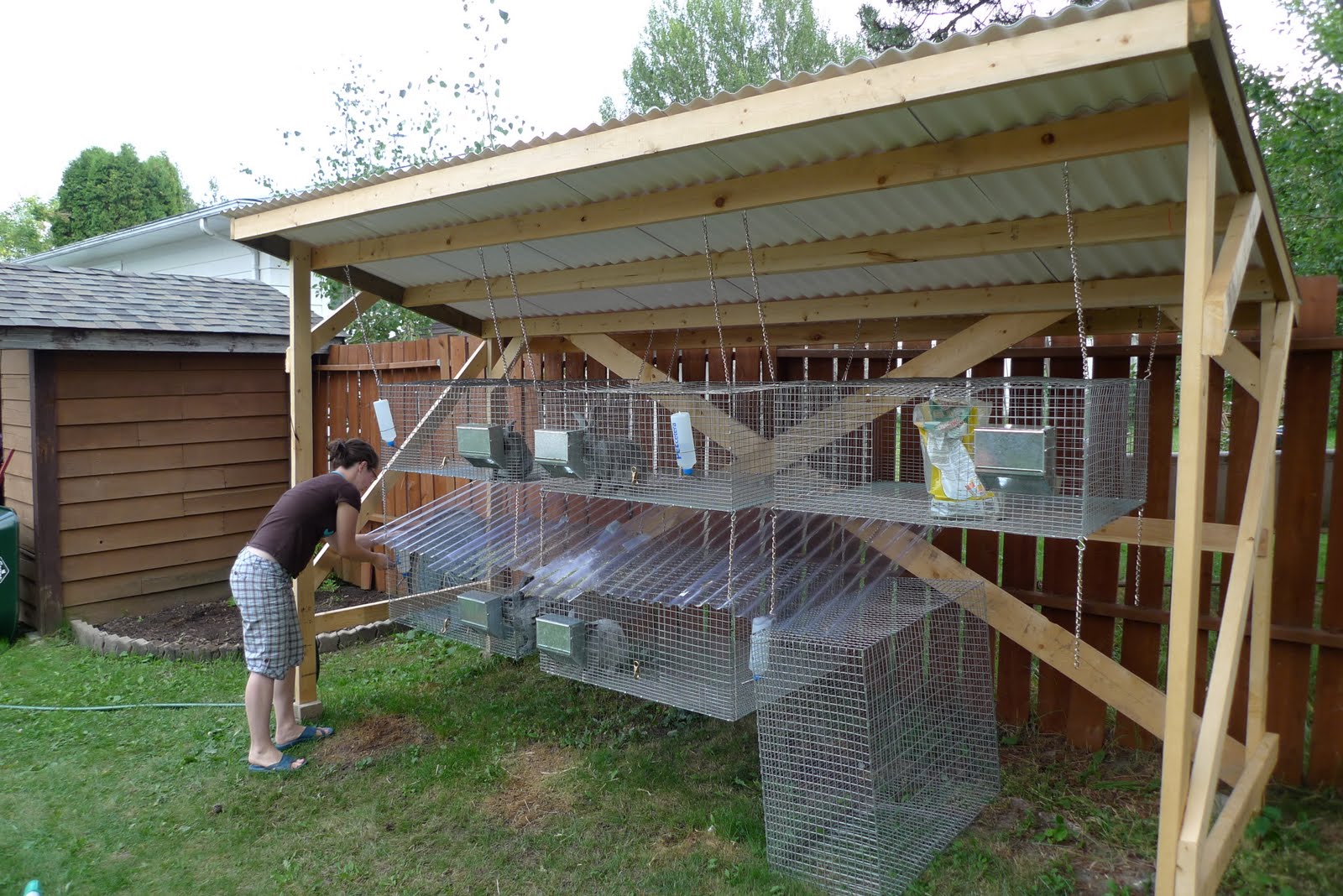 Building a Rabbit Hutch