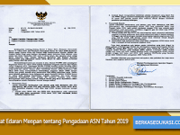 Surat Edaran Menteri PANRB Tentang Pengadaan ASN Tahun 2019