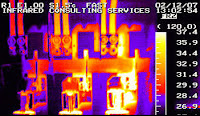 thermal imaging inspection survey