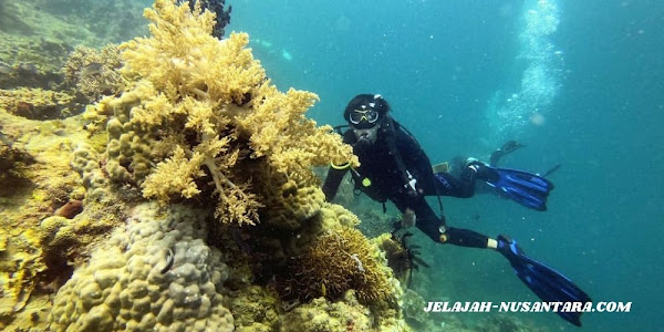 rencana perjalanan paket wisata private trip pulau pramuka