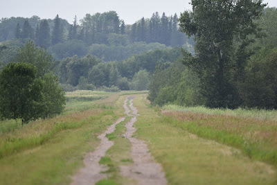 Trans Canda Trail near Altamont Manitoba.