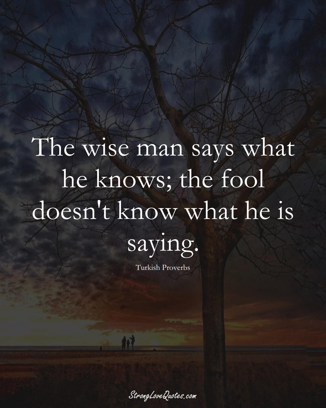 The wise man says what he knows; the fool doesn't know what he is saying. (Turkish Sayings);  #MiddleEasternSayings
