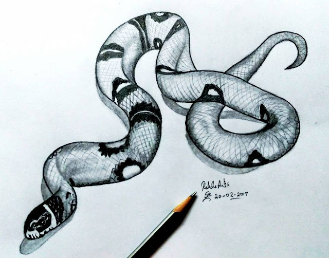 3D PENCIL DRAWING - SNAKE