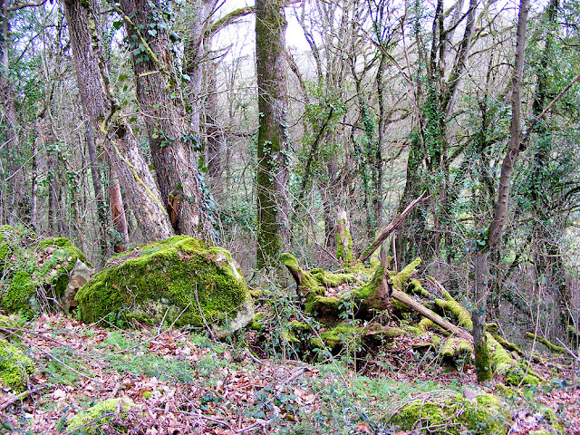 Rocks and roots.  Indre et Loire, France. Photographed by Susan Walter. Tour the Loire Valley with a classic car and a private guide.