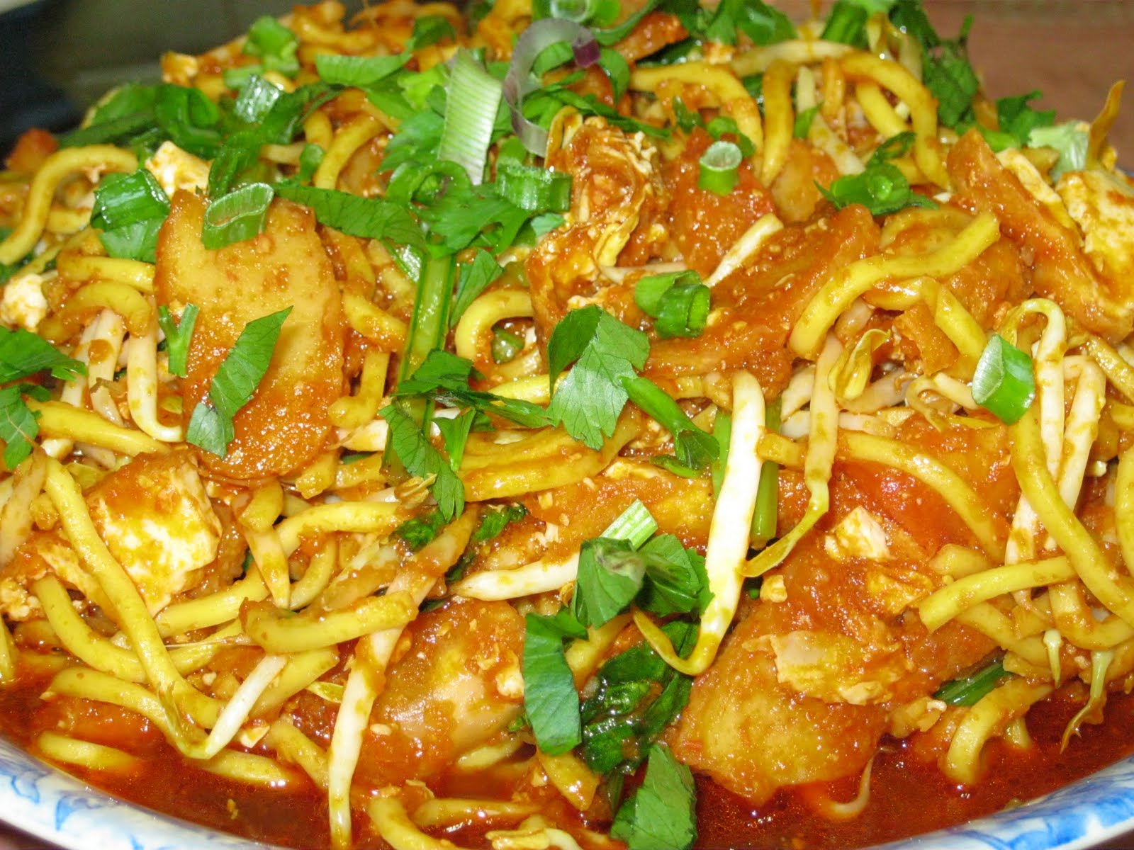 Inachomel: MEE GORENG BASAH