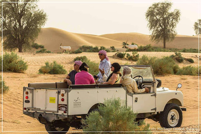 Safári no Deserto