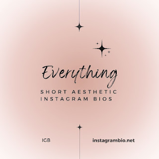 Short Aesthetic Instagram Bios [ 2024 ] | Dark aesthetic bio for Instagram