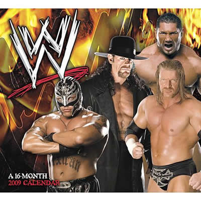 WWE Superstar 2013