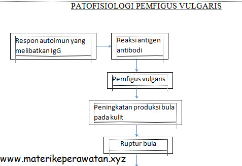 Catatan Singkat Perawat: PATHWAY PEMVIGUS VULGARIS 