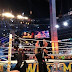 wrestlemania 29 results 2013