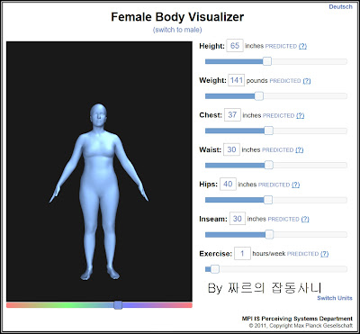 체형 측정 프로그램(bodyvisualizer) 기본화면