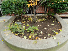 Toronto Garden District Fall Cleanup After by Paul Jung Gardening Services--a Toronto Gardening Company