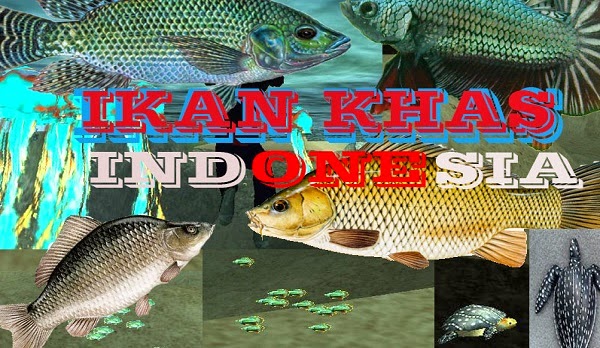 Ikan Hewan  Air  Indonesia  GTAind Mod GTA Indonesia 