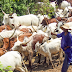 HERDSMEN INVADE OGUN, DESTROY N6.8M FARM