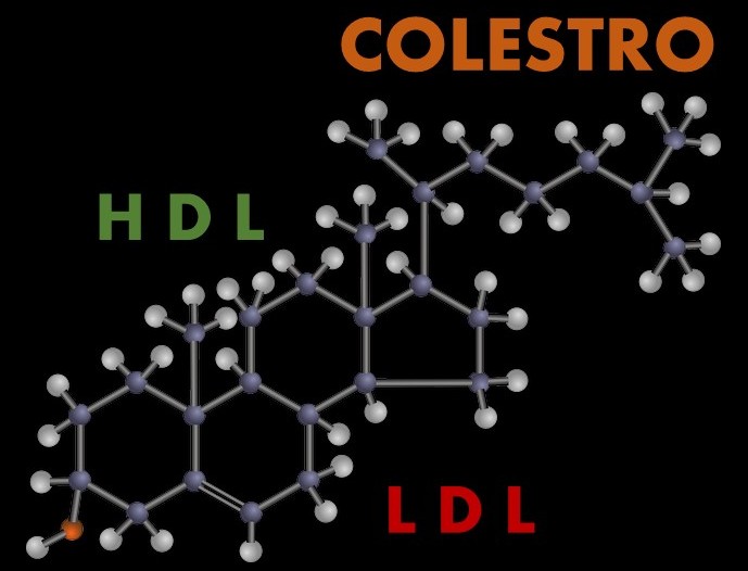 Cholesterol