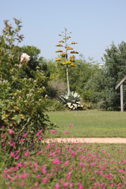 The wedding party typically faces the set of wooden arches 