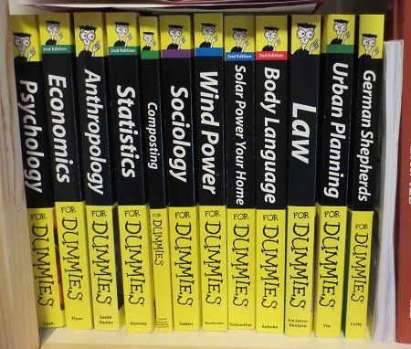 My Addiction to For "Dummies" Books: A Sort of Review ...