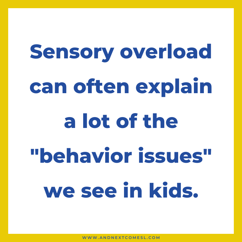 What is Sensory Overload?  And Next Comes L - Hyperlexia Resources
