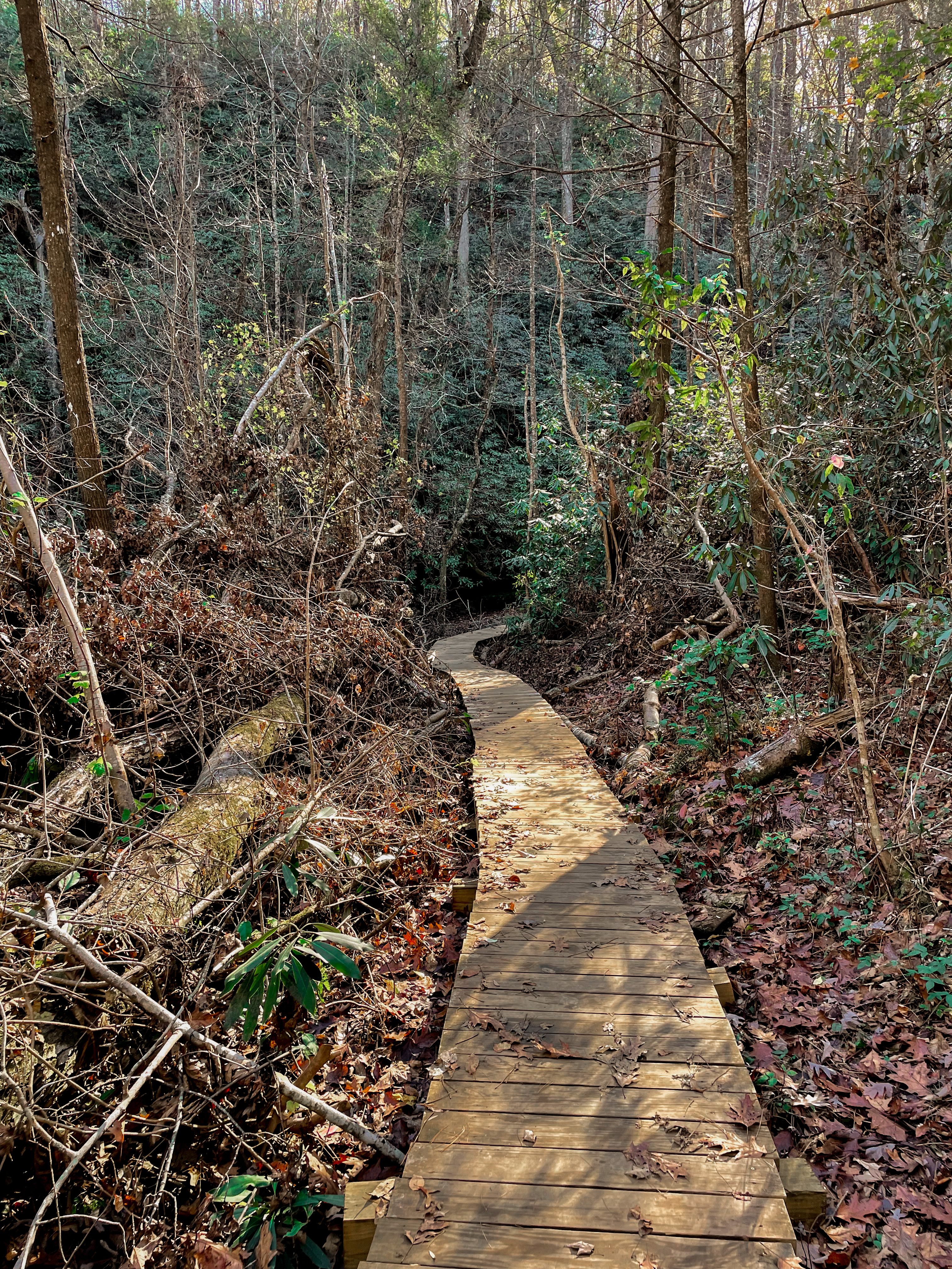 Carrick Creek Trail