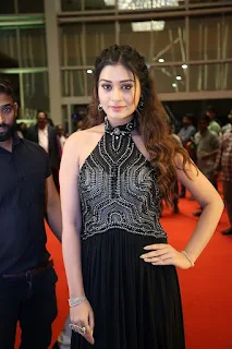 Actress Payal Rajput Stills At Sakshi Excellence Awards Event 2019