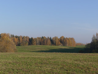 maastik Pangodi lähedal