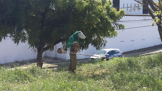 Faxinaço no Morro das Vivendas