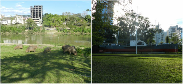 capivaras e Vapor Blumenau na Prainha em Blumenau