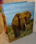 396 07-classeur