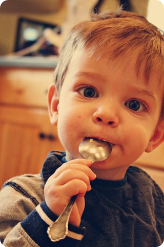 Wes w.spoon Velvet Truffle