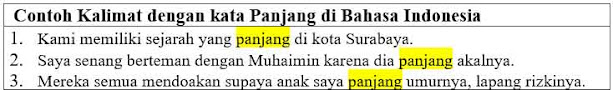 26 Contoh Kalimat dengan kata Panjang di Bahasa Indonesia dan Pengertiannya