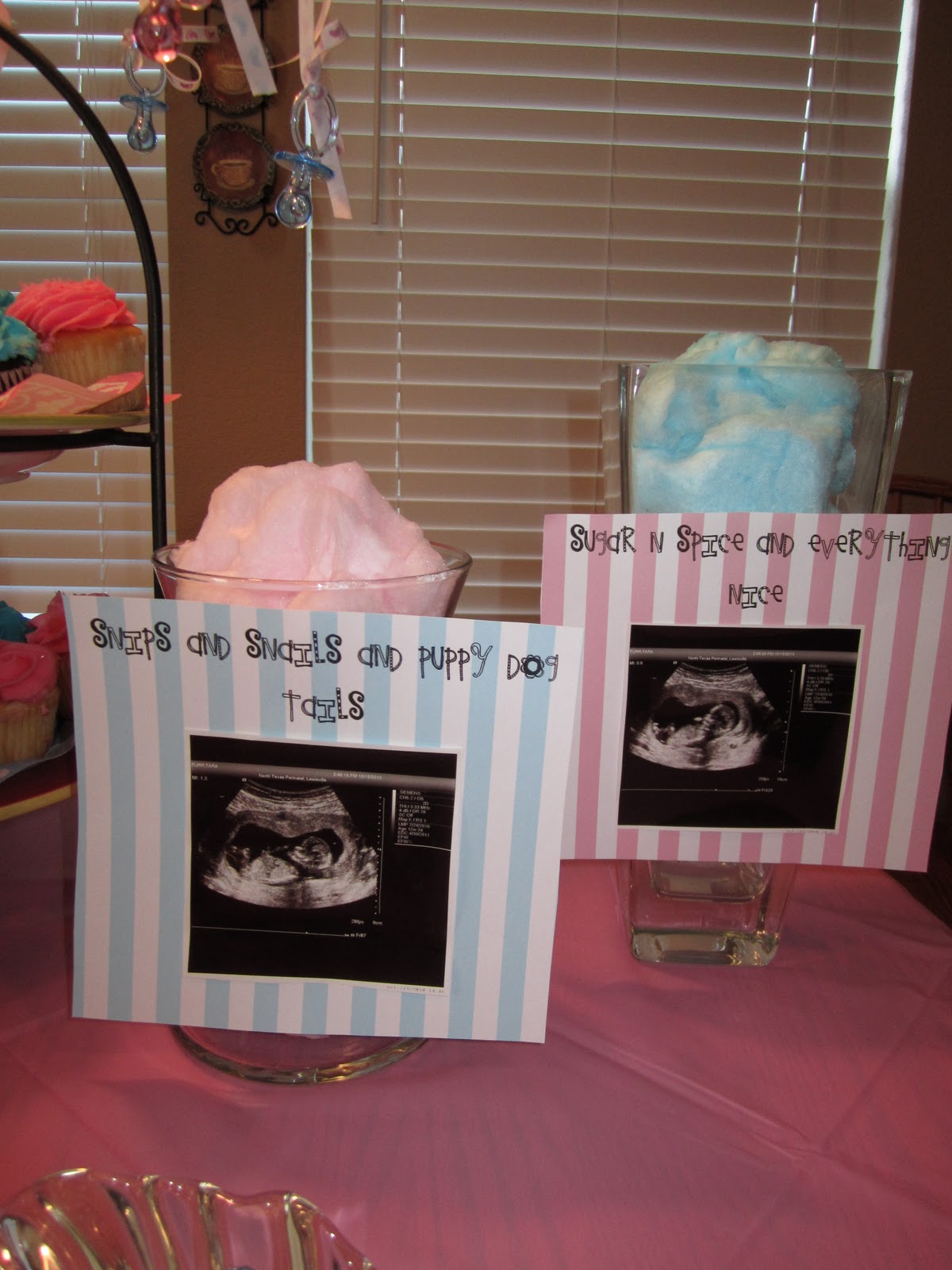 The Furr Five Gender  Reveal  Party 