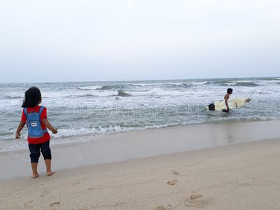 Monyet di Pantai Teluk Cempedak Tarik Perhatian Pengunjung